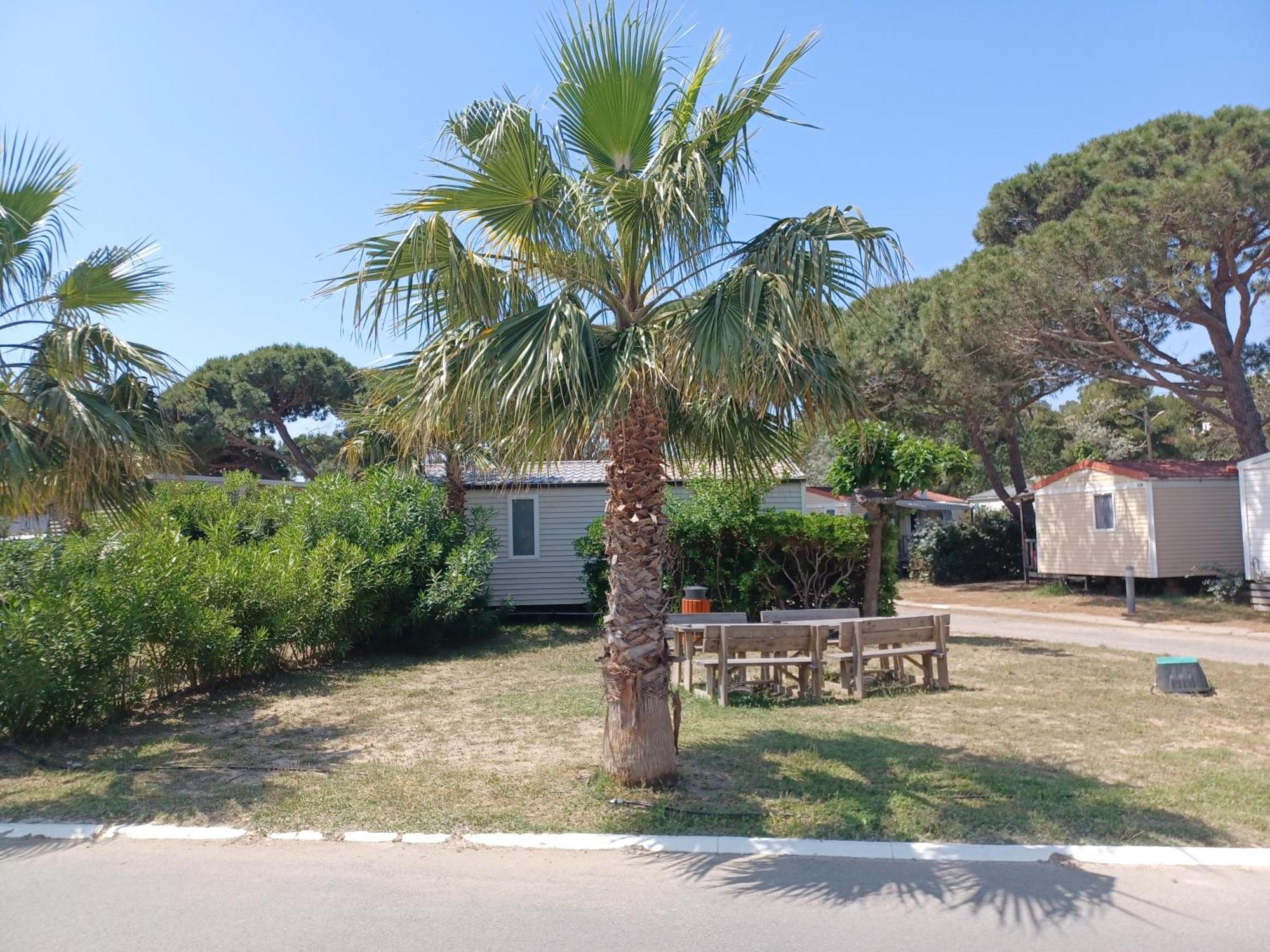 Mobil-Home Pour 6 Personnes Narbona Esterno foto